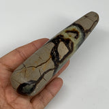 223.4g,5.4"x1.3" Natural Septarian Wand Stick, Home Decor, Collectible, B6119