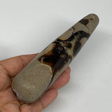 223.4g,5.4"x1.3" Natural Septarian Wand Stick, Home Decor, Collectible, B6119
