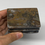 510g, 2.9" x 2.8" x 2" Fossils Orthoceras Ammonite Business Card Holder,B8106