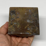 510g, 2.9" x 2.8" x 2" Fossils Orthoceras Ammonite Business Card Holder,B8106