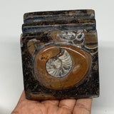 522g, 2.9" x 2.9" x 2" Fossils Orthoceras Ammonite Business Card Holder,B8108