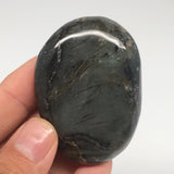 75.4g,2.3"x1.6"x0.7" Labradorite Palm-stone Tumbled Reiki @Madagascar,MSP319