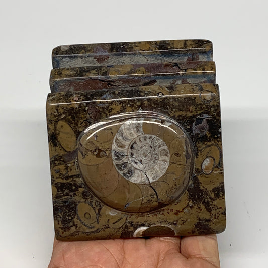 546g, 3" x 2.9" x 2" Fossils Orthoceras Ammonite Business Card Holder,B8109