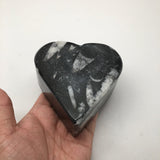 380 Grams Heart Fossils Orthoceras Handmade Black Jewelry Box @Morocco,MF503 - watangem.com