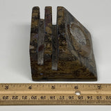 546g, 3" x 2.9" x 2" Fossils Orthoceras Ammonite Business Card Holder,B8109