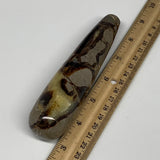 221.7g,5.6"x1.3" Natural Septarian Wand Stick, Home Decor, Collectible, B6129