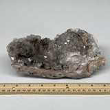 1510g, 8"x2.6"x2.8", Rare Manganese Cluster With Quartz Mineral Specimen ,B10659