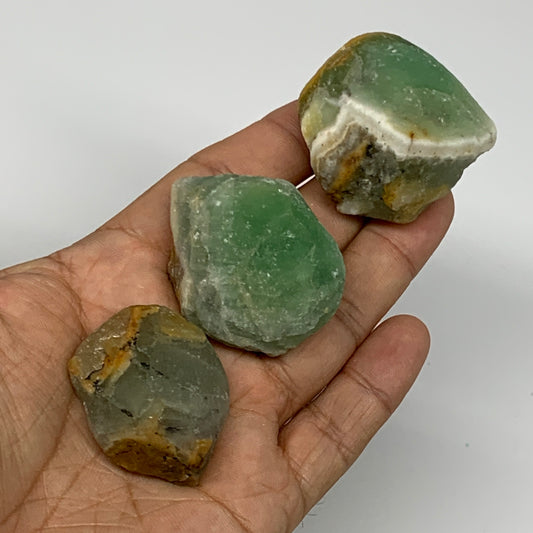 145.8g,1.4"-1.7", 3pcs, Fluorite Tumbled Rough/Semi- Polished @Mexico, B18735