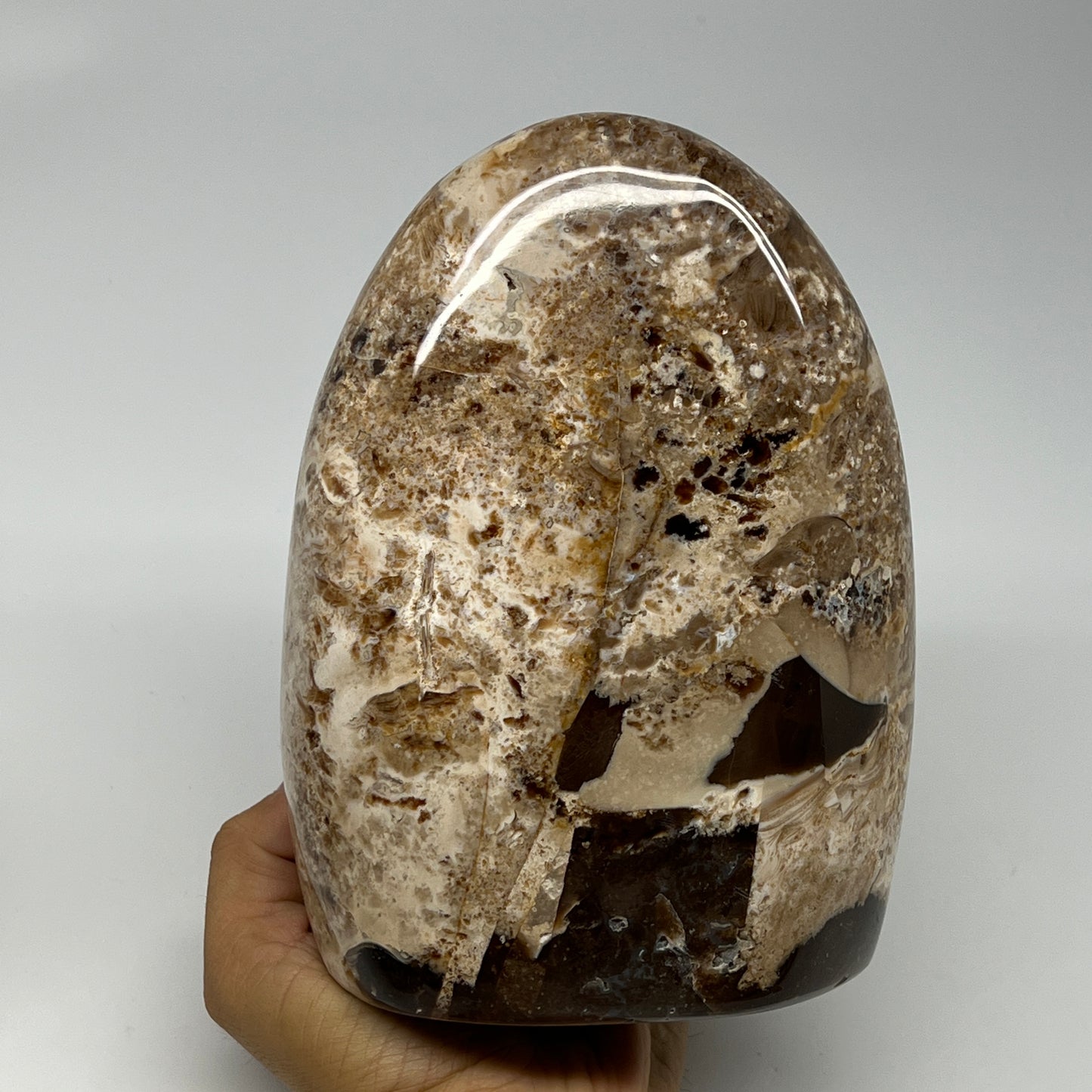 2565g,7"x5.2"x3.6" Black Opal Freeform Polished Gemstone @Madagascar,B21109