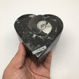 394 Grams Heart Fossils Orthoceras Ammonite Black Jewelry Box @Morocco,MF488