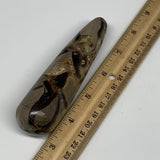 175.6g,4.8"x1.2" Natural Septarian Wand Stick, Home Decor, Collectible, B6137