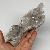 432g, 7.4"x2.4"x2.3", Rare Manganese Cluster With Quartz Mineral Specimen,B10668