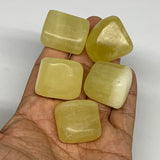148.1g, 0.9"-1.2", 5pcs, Natural Lemon Calcite Tumbled Stones @Afghanistan, B267