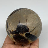 514g,2.8" Natural Septarian Sphere Crystal Gemstone Ball @Madagascar, B5318