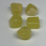 155.7g, 1"-1.2", 5pcs, Natural Lemon Calcite Tumbled Stones @Afghanistan, B26776