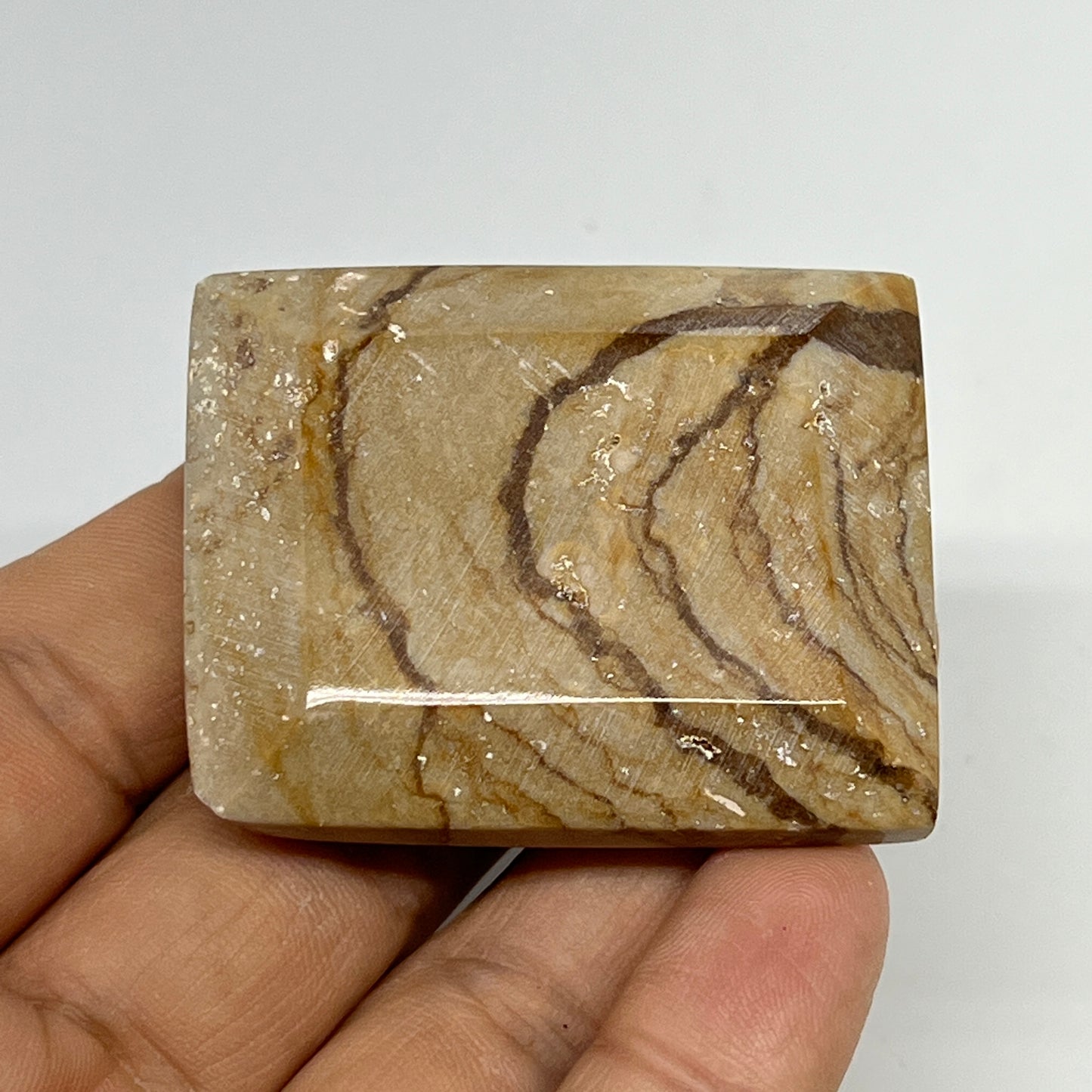 59.9g, 1.9"x1.5"x0.6" Picture Jasper Rectangular Gemstone Home Decor, B20199