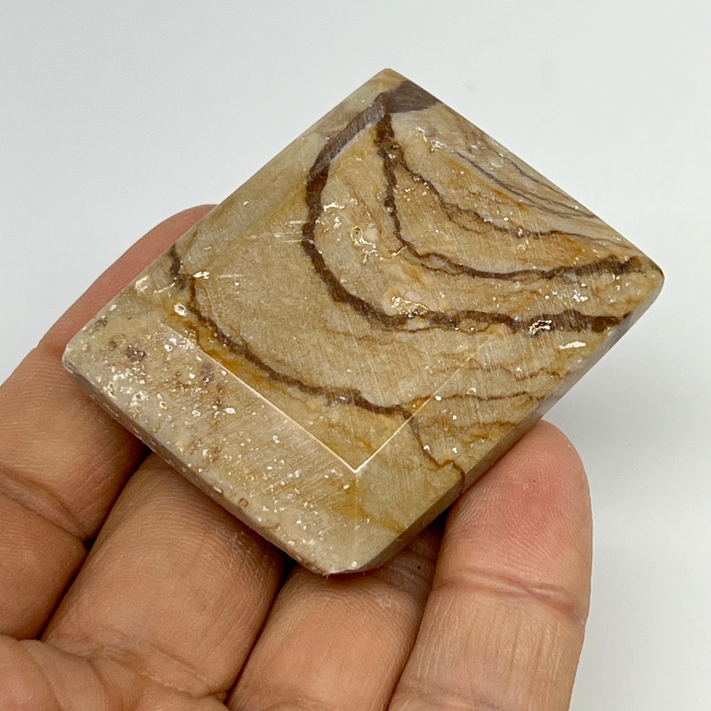 59.9g, 1.9"x1.5"x0.6" Picture Jasper Rectangular Gemstone Home Decor, B20199