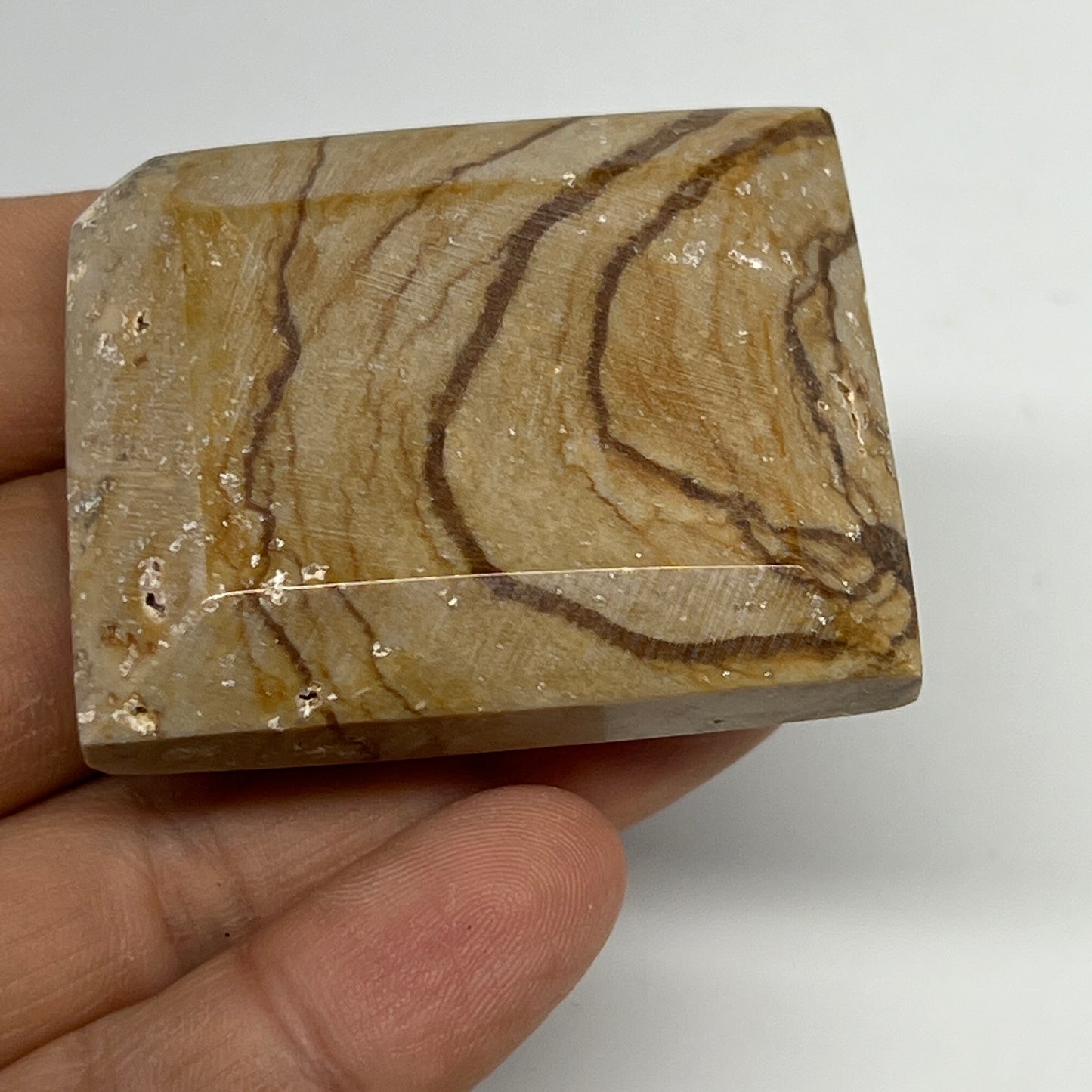 59.9g, 1.9"x1.5"x0.6" Picture Jasper Rectangular Gemstone Home Decor, B20199