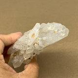 337.2g, 4.3"x3.1"x1.3", Faden Quartz Crystal Mineral,Specimen Terminated, B24930