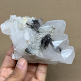 349.1g, 3.9"x2.8"x2.3", Faden Quartz Crystal Mineral,Specimen Terminated, B24935