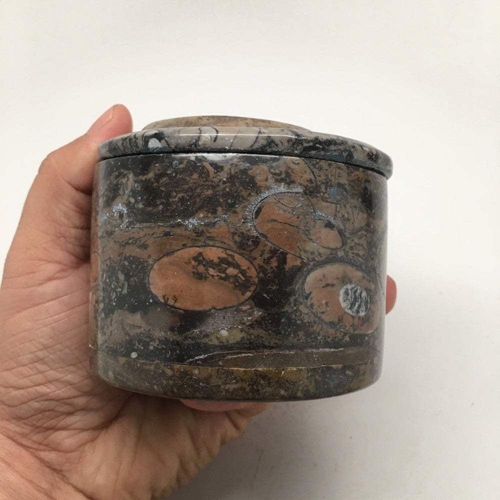 570g Round Shape Fossils Ammonite Brown Medium Jewelry Box @Morocco,MF590 - watangem.com
