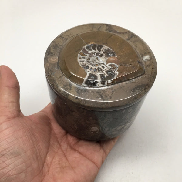 590g Round Shape Fossils Ammonite Brown Medium Jewelry Box @Morocco,MF591 - watangem.com