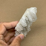 119.8g, 4.2"x2.1"x1.3", Faden Quartz Crystal Mineral,Specimen Terminated, B24936