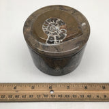 590g Round Shape Fossils Ammonite Brown Medium Jewelry Box @Morocco,MF591 - watangem.com