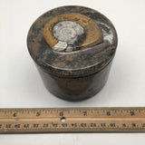 590g Round Shape Fossils Ammonite Brown Medium Jewelry Box @Morocco,MF592 - watangem.com