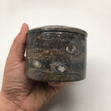 576g Round Shape Fossils Ammonite Brown Medium Jewelry Box @Morocco,MF593 - watangem.com