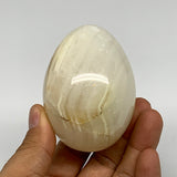 267.2g, 2.8"x2" Natural Green Onyx Egg Gemstone Mineral, from Pakistan, B24331