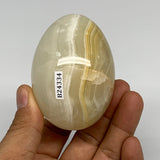 252.8g, 2.8"x2" Natural Green Onyx Egg Gemstone Mineral, from Pakistan, B24334