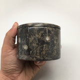 572g Round Shape Fossils Ammonite Brown Medium Jewelry Box @Morocco,MF601 - watangem.com