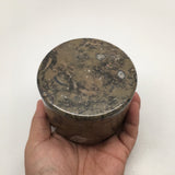 586g Round Shape Fossils Ammonite Brown Medium Jewelry Box @Morocco,MF603 - watangem.com