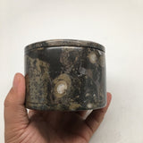 554g Round Shape Fossils Ammonite Brown Medium Jewelry Box @Morocco,MF604