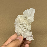 82.4g, 3.1"x1.6"x1.1", Faden Quartz Crystal Mineral,Specimen Terminated, B24946