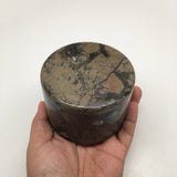 554g Round Shape Fossils Ammonite Brown Medium Jewelry Box @Morocco,MF604