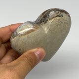 222.4g,2.9"x3.4"x1.2" Natural Chocolate Gray Onyx Heart Polished @Morocco,B18785