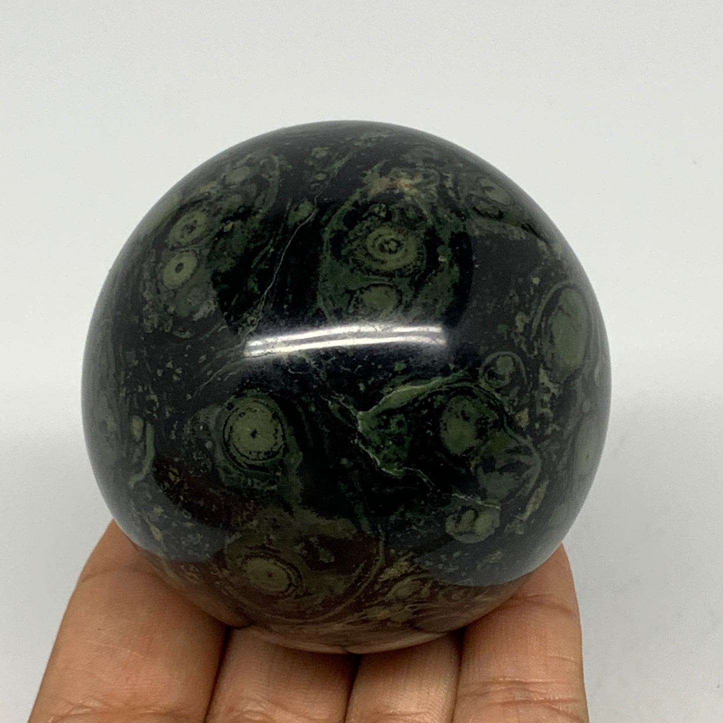 404.4g, 2.6"(66mm), Crocodile Kambaba Jasper Sphere Ball Reiki @Madagascar,B1568