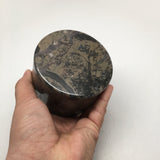 548g Round Shape Fossils Ammonite Brown Medium Jewelry Box @Morocco,MF612 - watangem.com