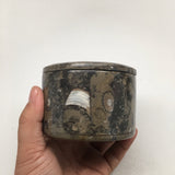 520g Round Shape Fossils Ammonite Brown Medium Jewelry Box @Morocco,MF617 - watangem.com