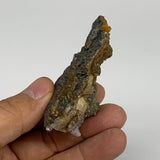 51.2g, 2.6"x1.7"x1", Chalcopyrite Cluster On Fluorite Mineral Specimen,B10713