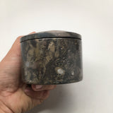 546g Round Shape Fossils Ammonite Brown Medium Jewelry Box @Morocco,MF621 - watangem.com