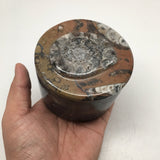 518g Round Shape Fossils Ammonite Brown Medium Jewelry Box @Morocco,MF622 - watangem.com