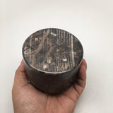 518g Round Shape Fossils Ammonite Brown Medium Jewelry Box @Morocco,MF622 - watangem.com