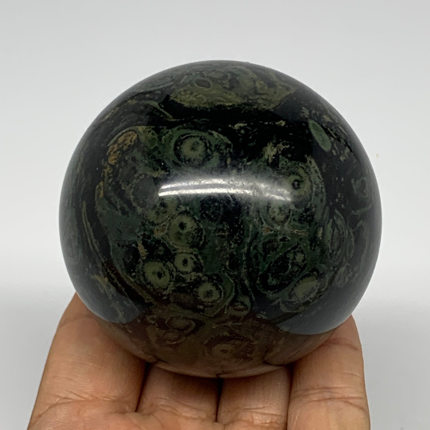 412.8g, 2.6"(66mm), Crocodile Kambaba Jasper Sphere Ball Reiki @Madagascar,B1570