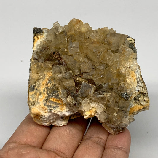 249.5g, 2.9"x2.6"x2", Chalcopyrite Cluster On Fluorite Mineral Specimen,B10725