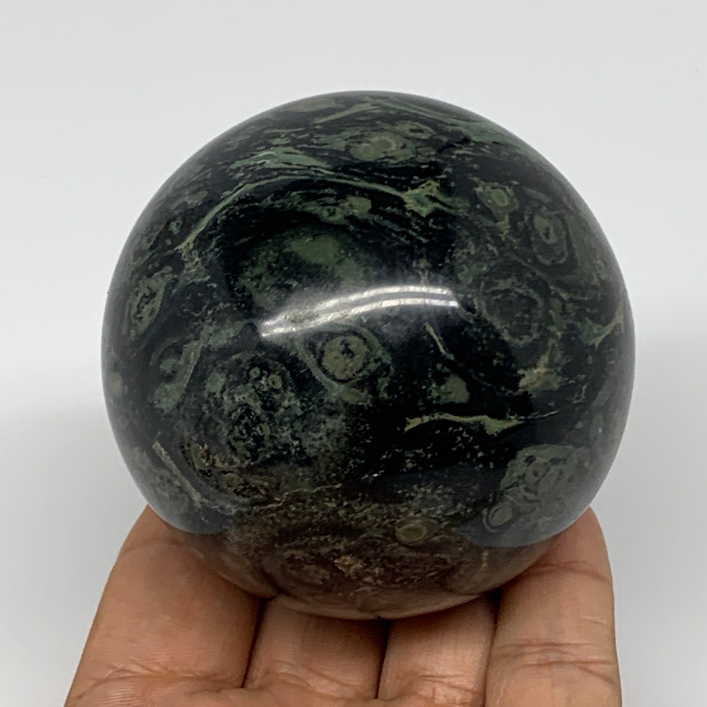 434.5g, 2.7"(67mm), Crocodile Kambaba Jasper Sphere Ball Reiki @Madagascar,B1571