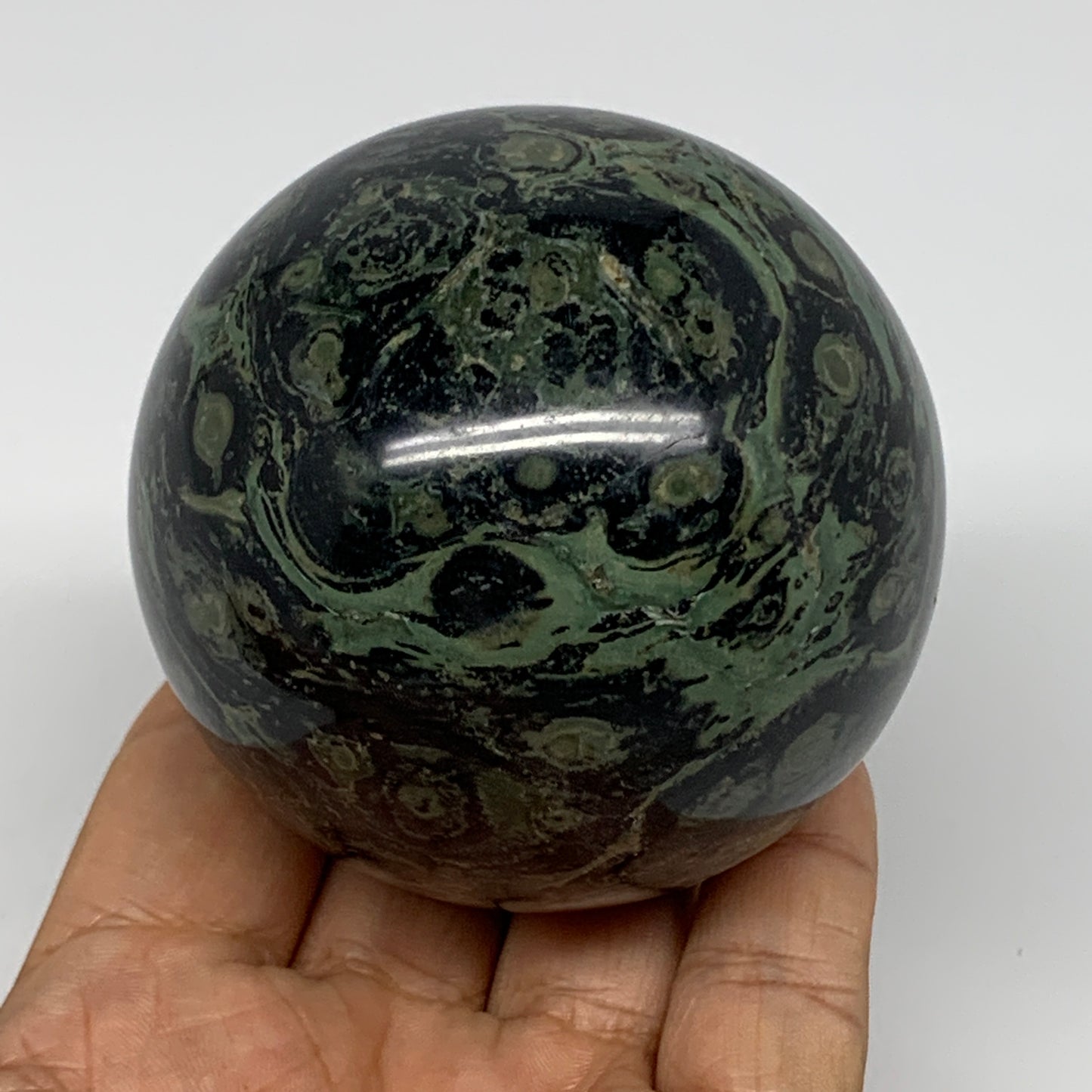 434.5g, 2.7"(67mm), Crocodile Kambaba Jasper Sphere Ball Reiki @Madagascar,B1571
