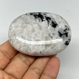 103.4g,2.5"x1.9"x0.8", Rainbow Moonstone Palm-Stone Polished from India, B21245